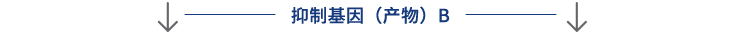 乐天堂fun88
