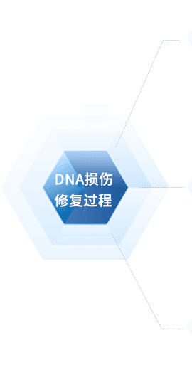 乐天堂fun88