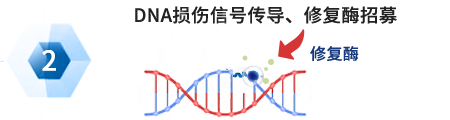 乐天堂fun88