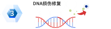 乐天堂fun88